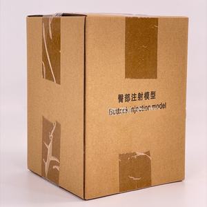 Modelo de Inyección Intramuscular de Alta Calidad para Práctica de Punción, Modelo de Entrenamiento Médico para Inyección Intramuscular en la Parte Inferior de la Cadera - Product Image 6