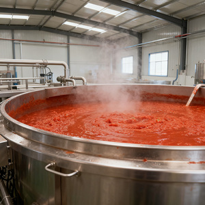롱쿤 기계 농축 토마토 소스 가공 라인 토마토 가공 완전 생산 라인 장비 - Product Image 6