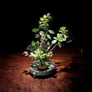 Kenzan Rotondo per Ikebana in Acciaio Inox/Ottone con Guarnizione in Gomma per Composizioni Floreali Giapponesi - Product Image 6