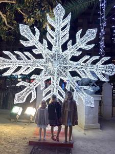 Luces LED con Motivo de Copo de Nieve IP65 Directas de Fábrica, Luces Decorativas Navideñas Impermeables para Exteriores, Color y Longitud Personalizables - Product Image 1