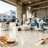 Ligne de production de farine de blé efficace : Élimination des pierres et lavage du blé pour une pureté améliorée de la farine avec système de fonctionnement sécurisé