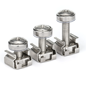 M6 Cage Nuts and <strong>Screws</strong> for <strong>Server</strong> Shelves Cabinets