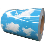 Hochwertiges kunden spezifisches Muster PPGI vor lackierte verzinkte Stahls pule Hot Sale Color Coated Steel Coil Produkt
