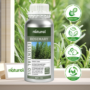 Natural Organic Rosemary Essential Oil Hair Growth Serum Hair <strong>Regeneration</strong> Treatment <strong>Scalp</strong> Care Massage <strong>Scalp</strong> Hair Care Oil - Product Image 2