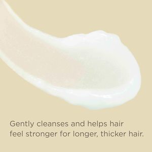 Ensemble Shampooing et Après-Shampooing à la Biotine Sans Sulfate + Sans Parabène, Compatible Couleurs, avec Huile de Ricin pour Shampooing et Après-Shampooing <span class=keywords><strong>Anti</strong></span>-Frisottis - Product Image 3