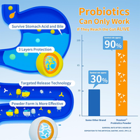 Poudre prébiotique hydrosoluble en vrac de 50 milliards de UFC, 13 souches, marque privée OEM, pour la santé intestinale, fabriquée en Chine