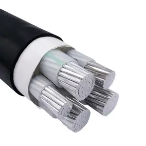 0.6/1kv Aluminum Concentric Cable Xlpe/pvc Insulated Low Voltage Aluminum Core Cable