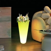 Hot Seller Intérieur LED Bonsaï Pots Coloré PE Pot De Fleur En Plastique avec Lumière Décorative Lampe Accrocheur Plancher Suspendus Jardinières