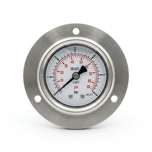 Manomètre axial général de 40 mm avec boîtier en acier inoxydable, qualité personnalisée garantie, 1,6 %, 0~86 psi - Product Image 3