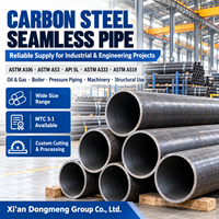 Tuyau en acier sans soudure en acier au carbone de 12 pouces OD323.9mm SCH40 SCH80 ASTM A106 Grade B