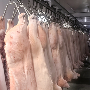 เนื้อหมูแช่แข็งเกรด25กก. กล่องบรรจุภัณฑ์ - Product Image 4