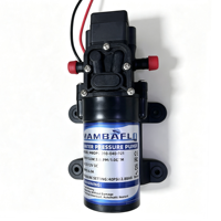 Pompe à eau à diaphragme auto-amorçante 12 V CC pour camping-car, bateau, yacht, caravane, camping-car, 1,0 GPM, 3,8 LPM, 40 PSI