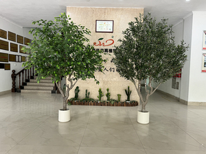 Grand Arbre d'<span class=keywords><strong>Olivier</strong></span> Artificiel <span class=keywords><strong>en</strong></span> Plastique Écologique, Plante de Sol Haute Simulation pour la Décoration de la Maison, du Jardin et de l'Aménagement Paysager - Product Image 5