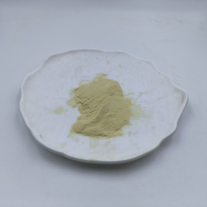 Polvo de Esporas de Licopodio de Primera Calidad para Efectos Escénicos, 100% Puro, Extracto de Licopodio Clavatum - Product Image 4