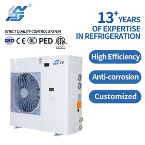 Unité <span class=keywords><strong>de</strong></span> condensation frigorifique à décharge latérale <span class=keywords><strong>de</strong></span> <span class=keywords><strong>type</strong></span> scroll 380V, la plus vendue et à économie d'énergie - Product Image 1