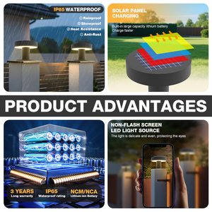 Lampade Solari LED da Giardino Versatili IP65 Impermeabili <span class=keywords><strong>per</strong></span> Recinzioni, Porte e Colonne Esterne a Prezzo di Fabbrica - Product Image 3