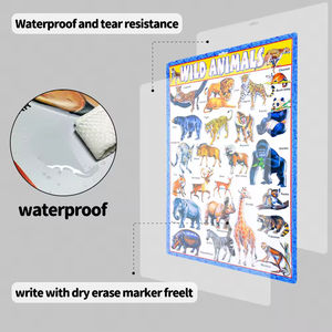 Poster educativi per bambini di alta qualità uso scolastico in PVC <span class=keywords><strong>3D</strong></span> in rilievo da parete - Product Image 6