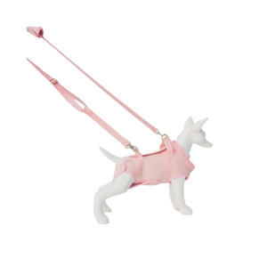 Logo merek kustom fungsi tahan air tali panjang dengan bantalan yang dapat disesuaikan set tali dan kekang anjing peliharaan lembut - Product Image 3