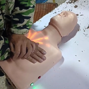 Model pelatihan CPR, tumbuhan resusitasi darah tinggi visualisasi aliran darah - Product Image 2