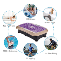 Plaque vibrante verticale électrique personnalisée compacteur complet du corps machine de plaque vibrante de fitness de puissance