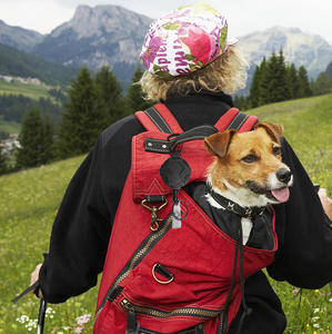 Câble métallique de charge enroulé robuste à haute élasticité rétractable anti-perte anti-vol alpinisme en plein air avec bobine de badge - Product Image 4