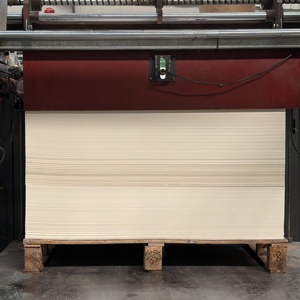 Feuille de papier pour gobelets en carton PE haute rigidité 180-350 GSM pour la matière première des gobelets jetables pour boissons chaudes - Product Image 5