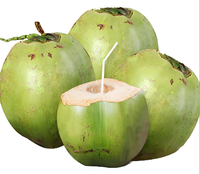 Machine manuelle la plus populaire Ouvre-noix de coco Machine à noix de coco Machine à éplucher noix de coco ouverte avec ouvre-boîte
