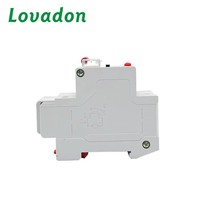 Disjoncteur différentiel RCBO D1LE-63 C16 16A 230V Protection contre les surintensités 15mA 30mA 50mA 100mA IEC 61009-1 CE 4KA BCD