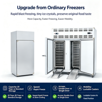 Vleesverwerkingsmachine Dubbele Deur Blast Freezer -45 ℃   Luchtkoelingschakel voor diepgaande verwerking van kip en varkensvlees in een diepvriesinstallatie
