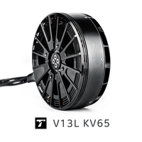 Moteur T-MOTOR V13L KV65 VTOL, poussée maximale de 55 kg, 6000 W, 24S, 42N38P, IPX5, pour drone cargo UAV à charge utile lourde de 100 à 200 kg