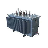 11kv 200kva 3 Fazlı Tam Sızdırmaz Yağlı Tip Dağıtım Trafosu