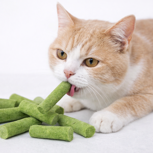 Friandises en vrac pour animaux <span class=keywords><strong>de</strong></span> compagnie : Bâtonnets <span class=keywords><strong>de</strong></span> catnip lyophilisés Guangyu – Naturels, très attractifs et sains pour chats - Product Image 1