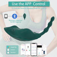 Vibrateur portable rechargeable en silicone à 9 vitesses, culotte vibrante, jouet sexuel pour femme, stimulation du point G et du clitoris