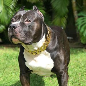 Sichere Schnapp schnallen gurte Hunde trainings halsband 18 Karat Gold 32mm Edelstahl kubanische Glieder kette für mittelgroße Luxus einfach - Product Image 3