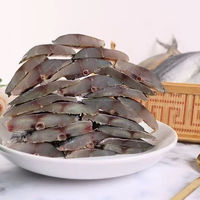 Fournisseur chinois Vente en gros de haute qualité Maquereau chinois séché au soleil Maquereau à pois bleus Poisson 10KG Approvisionnement commercial