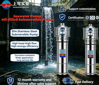 Pompe à eau de mer résistante à la corrosion, pompe de puits profond, aquaculture marine, 220V 380V, pompe submersible en acier inoxydable, pompe à huile