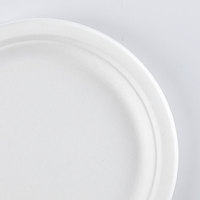 Bagasse de canne à sucre compostable personnalisée ensemble de vaisselle jetable en paille de blé assiette à déjeuner biodégradable en plein air à usage domestique