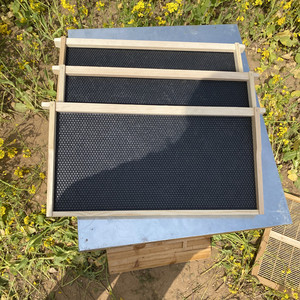 New Beekeeping Pine Wood Assembled With <b>Plastic</b> Foundation <b>Sheet</b> Beehive Frame - Product Image 3