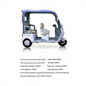 Tricycle électrique à double rangée Tyrannosaurus <span class=keywords><strong>Rex</strong></span>, nouveau modèle, haute puissance, frein à disque, voiture à batterie décontractée, charge utile de 200 à 300 kg, grande <span class=keywords><strong>capacité</strong></span> - Product Image 5