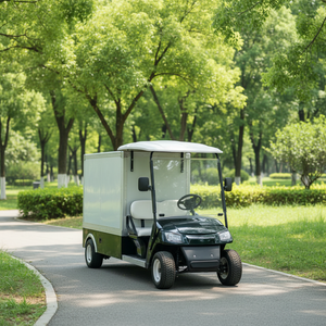 Mini camion électrique BFF Kepler 2 <span class=keywords><strong>places</strong></span>, scooter personnalisé, voiturette de golf, plateau de chargement, véhicule électrique, vitesse 50-70 km/h, autonomie 70-90 km - Product Image 1