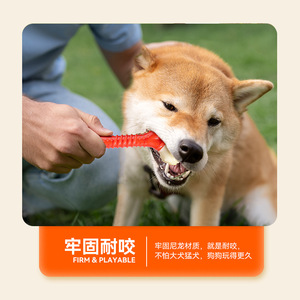 Cross Border TPU Coated Interactive <b>Bite</b> Resistant Double Headed Bone Dog Toy Medium Chew Toys - Product Image 2