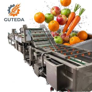 Ligne de transformation industrielle de fruits et légumes GUTEDA - Usine automatique pour la production de jus de tomate, pomme, mangue, <span class=keywords><strong>avocat</strong></span> et baies - Product Image 1