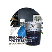 Peinture en aérosol MJ Coat, anti-UV, séchage rapide, laque nitrocellulosique mate, revêtement liquide pour meubles et murs
