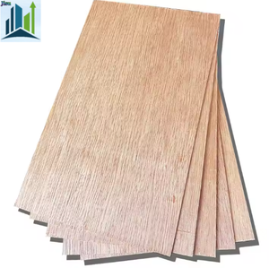 Фанера из эвкалипта 3 мм, многослойная, цельная, 2440*1220 (4*8 футов), экологичная, класс E0, для современной мебели, напрямую от производителя - Product Image 1