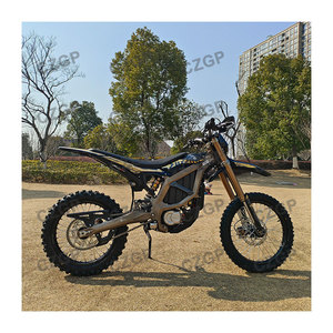 Moto électrique tout-terrain Ultra Bee 2025 pour adultes, moteur brushless 21KW, batterie lithium 74V 60Ah, 90KM/h - Product Image 2