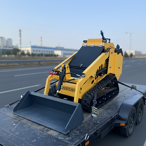 मुफ्त शिपिंग सस्ता डीजल स्किड डड लोडर क्रॉलर व्हील - Product Image 1