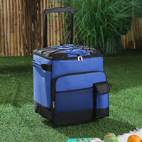Extérieur 43L Grande Capacité Feuille d'Aluminium Fraîche Isolation Extérieure Pique-Nique Glace Sac À Lunch Trolley Case pour Voiture