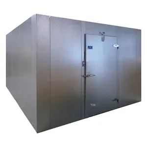 Chicken meat walking freezer room with 150mm pur panel
