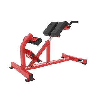 Equipo de gimnasio para musculación, martillo comercial, PS-HM52 de fuerza, extensión trasera - Product Image 5