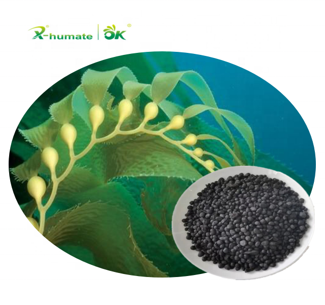 X-Humate 100% натуральное органическое удобрение 18% экстракт водорослей альгиновой кислоты